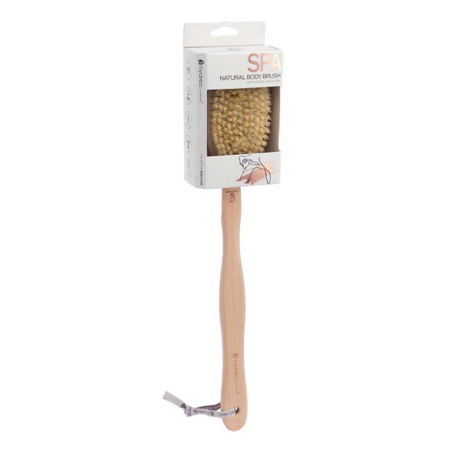 Hydréa London Durable Body Brush With Water-Protective Plastic Plate – Natural Bristle & Long Detachable Handle FSC® Certified Beechwood