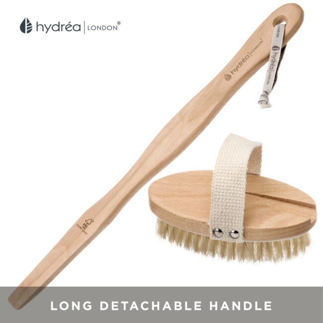 Hydréa London Durable Body Brush With Water-Protective Plastic Plate – Natural Bristle & Long Detachable Handle FSC® Certified Beechwood