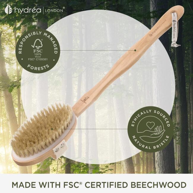 Hydréa London Durable Body Brush With Water-Protective Plastic Plate – Natural Bristle & Long Detachable Handle FSC® Certified Beechwood