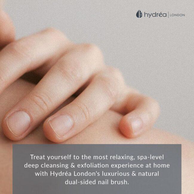 Hydréa London Large Olive Wood Nail Brush Natural Bristle