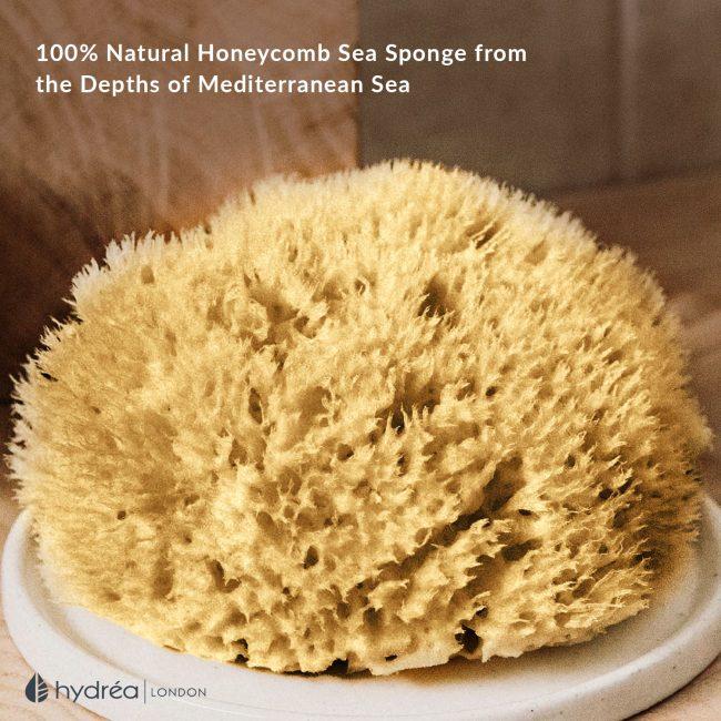 Hydréa London Natural Honeycomb Sea Sponge – Size 4-4.5″