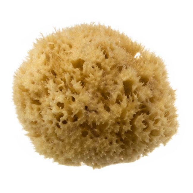 hydréa london Natural Honeycomb Sea Sponge – size 4-4.5″