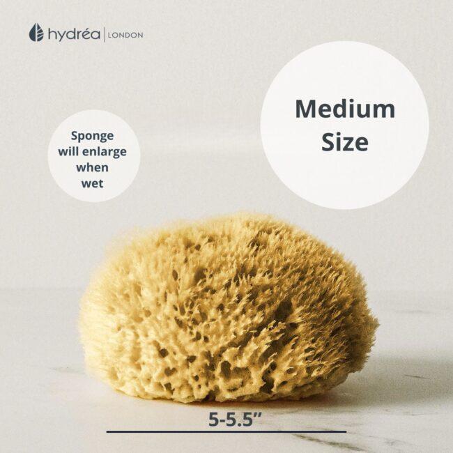 Hydréa London Natural Honeycomb Sea Sponge – Size 5-5.5″