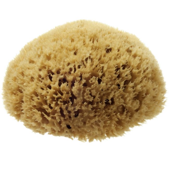 hydréa london Natural Honeycomb Sea Sponge – size 5-5.5″