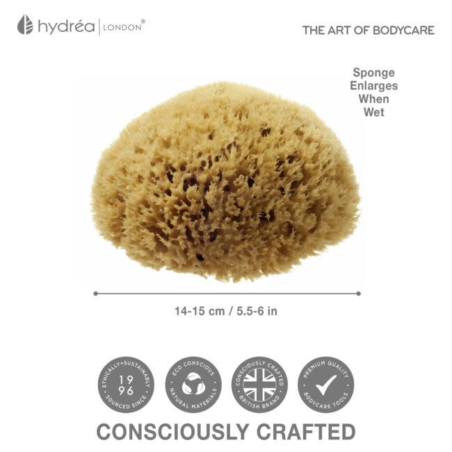 Hydréa London Natural Honeycomb Sea Sponge – Size 5.5-6″