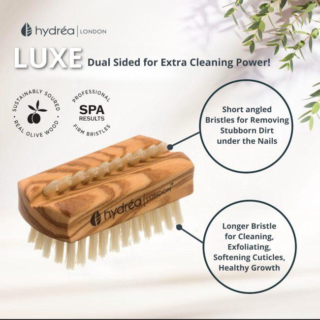 Hydréa London Olive Wood Travel Size Nail Brush Natural Bristle