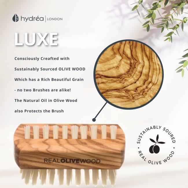 Hydréa London Olive Wood Travel Size Nail Brush Natural Bristle