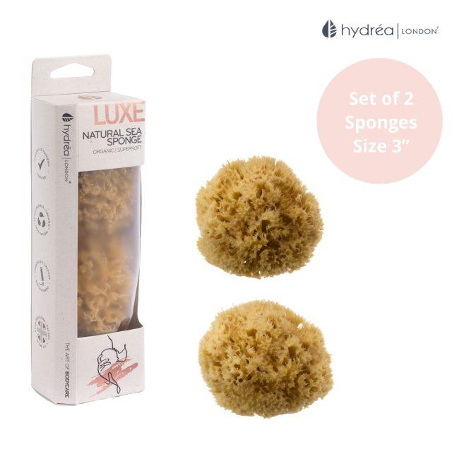 Hydréa London Premium Honeycomb Sea Sponge Set – Baby Bathing – Size 2.5-3″