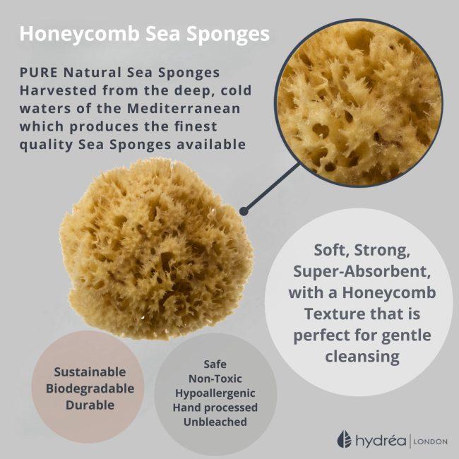 Hydréa London Premium Honeycomb Sea Sponge Set – Baby Bathing – Size 2.5-3″