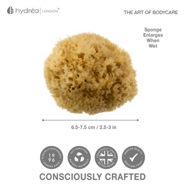 Hydréa London Premium Honeycomb Sea Sponge Set – Baby Bathing – Size 2.5-3″