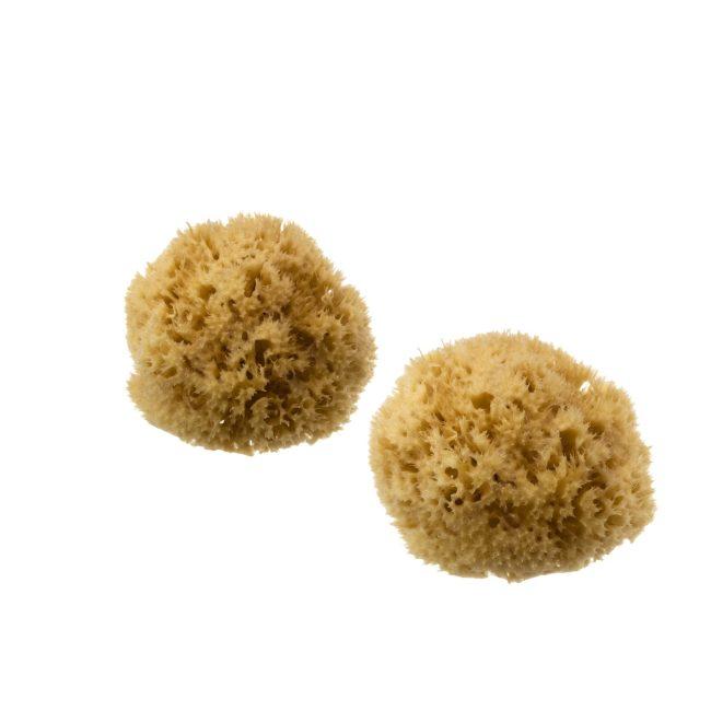 hydréa london Premium Honeycomb Sea Sponge Set – Baby Bathing – Size 2.5-3″