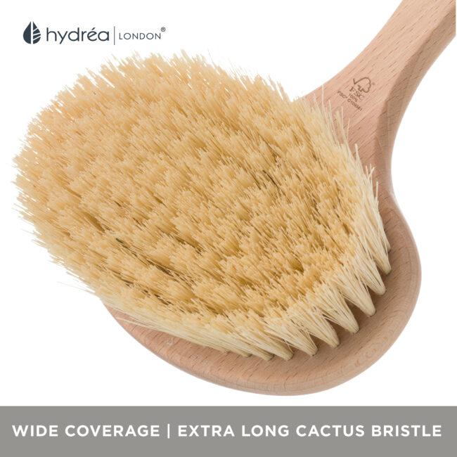 Hydréa London Professional Spa Dry Body Wide Brush Cactus Bristle