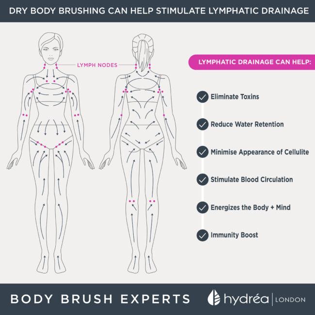 Hydréa London Professional Spa Dry Body Wide Brush Cactus Bristle