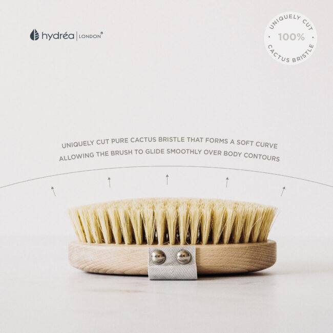 Hydréa London Professional Vegan Dry Body Brush FSC® Certified Beechwood With Cactus Bristle For Exfoliation & Detox
