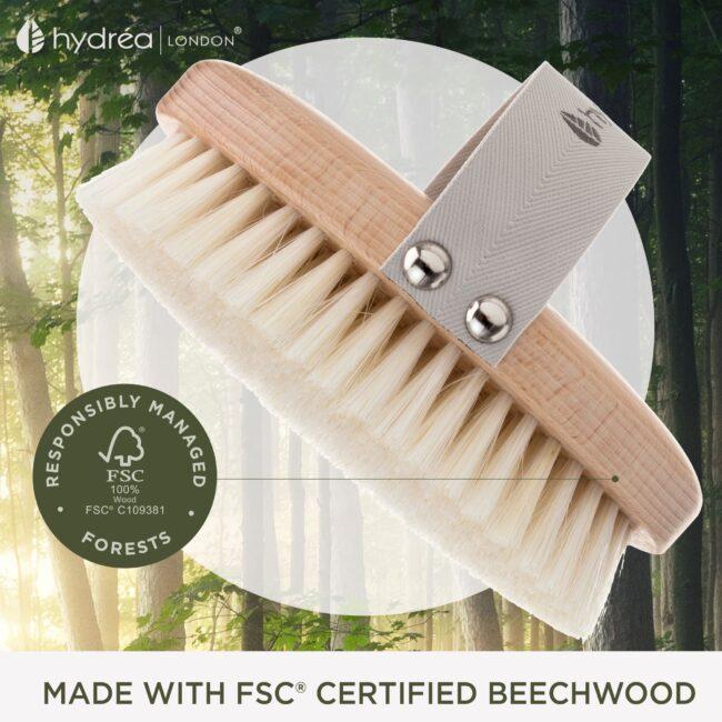 Hydréa London Professional Wet & Dry Body Brush FSC® Certified Beechwood With Natural Bristle For Exfoliation & Detox