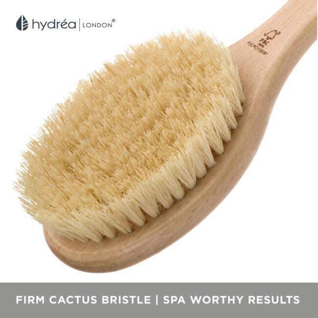 Hydréa London Vegan Long-Handled Dry Body Brush – FSC® Certified Beechwood With Cactus Bristle