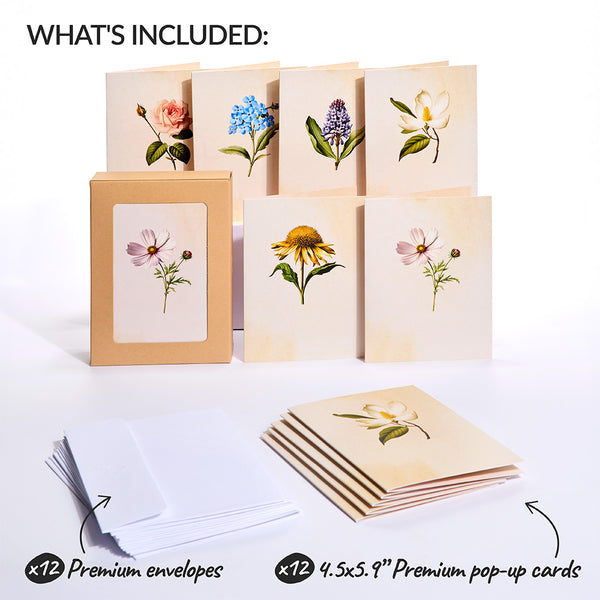 I Love Pop Beautiful Botanicals Box Set (Assorted 12-Pack): Paperpop® Card