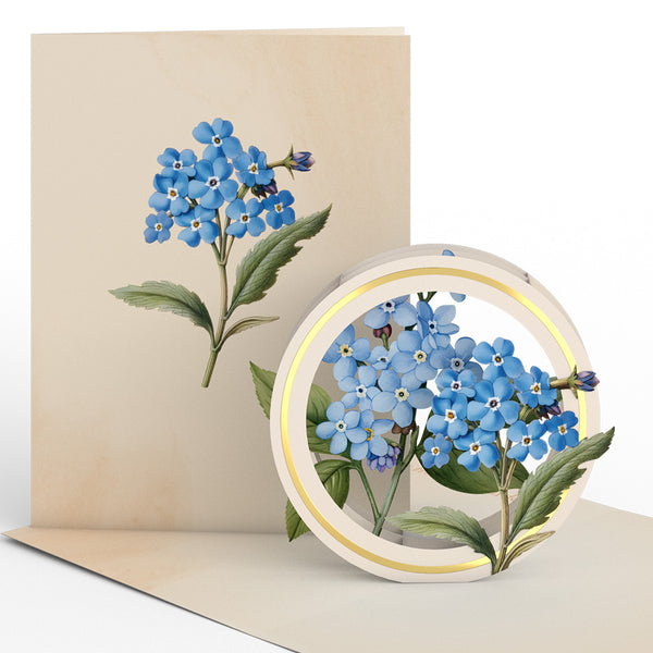 I Love Pop Beautiful Botanicals Box Set (Assorted 12-Pack): Paperpop® Card