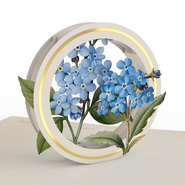 I Love Pop Beautiful Botanicals Box Set (Assorted 12-Pack): Paperpop® Card