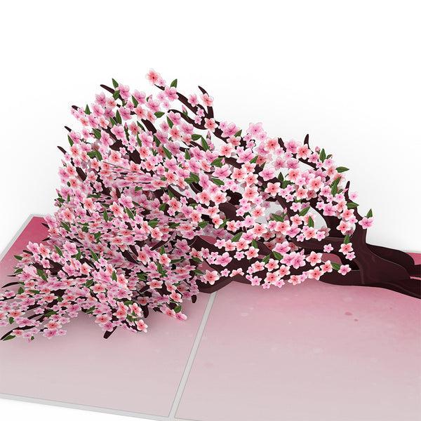 I Love Pop Cherry Blossom Branches In Bloom Birthday Pop-Up Card And Dancing Through Life Sentiment Set
