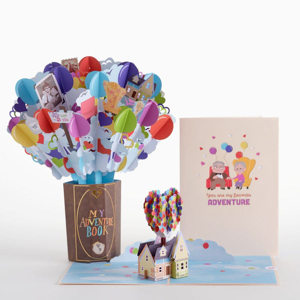 i love pop Disney and Pixar Up My Greatest Adventure Bundle