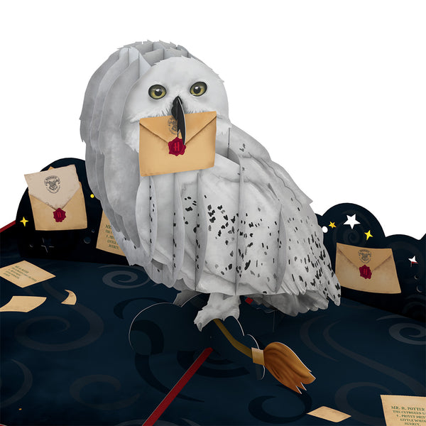 I Love Pop Harry Potter™ Hedwig™ Birthday Delivery Pop-Up Card