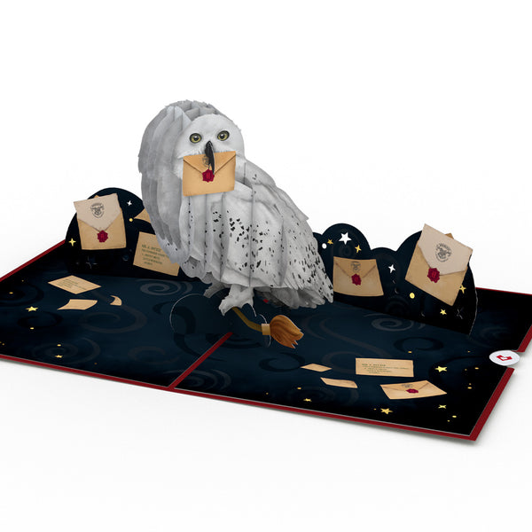 I Love Pop Harry Potter™ Hedwig™ Birthday Delivery Pop-Up Card