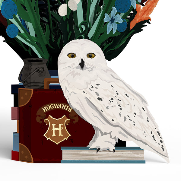 I Love Pop Harry Potter™ Hedwig™ Birthday Pop-Up Card & Flower Buds Bouquet Bundle