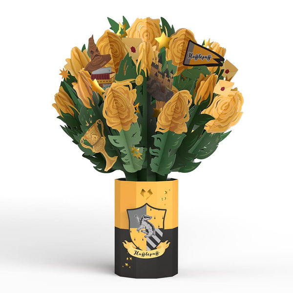 I Love Pop Harry Potter™ Hufflepuff™ Birthday Bundle