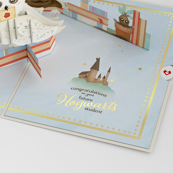 I Love Pop Harry Potter™ Special Delivery Baby Pop-Up Card