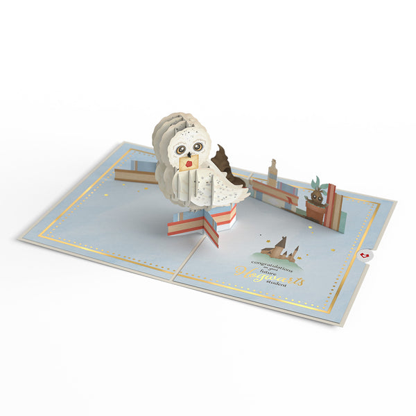 I Love Pop Harry Potter™ Special Delivery Baby Pop-Up Card