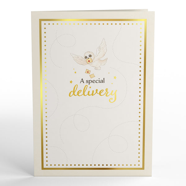 I Love Pop Harry Potter™ Special Delivery Baby Pop-Up Card
