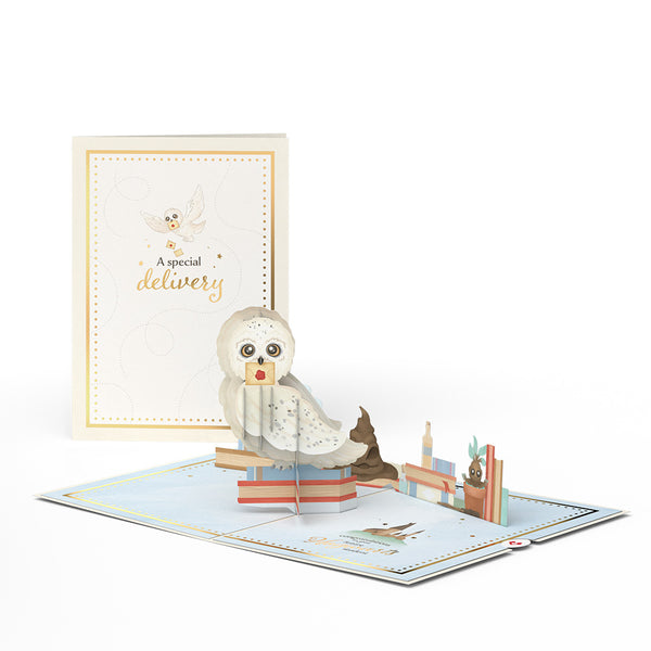 i love pop Harry Potter™ Special Delivery Baby Pop-Up Card