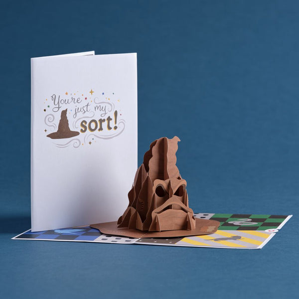 I Love Pop Harry Potter™ You're Just My Sort Pop-Up Card