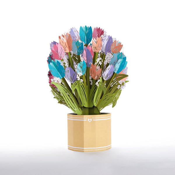 i love pop Assorted Tulips Grand Bouquet