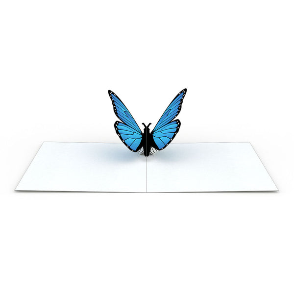 I Love Pop Butterfly Notecards (Assorted 4-Pack)