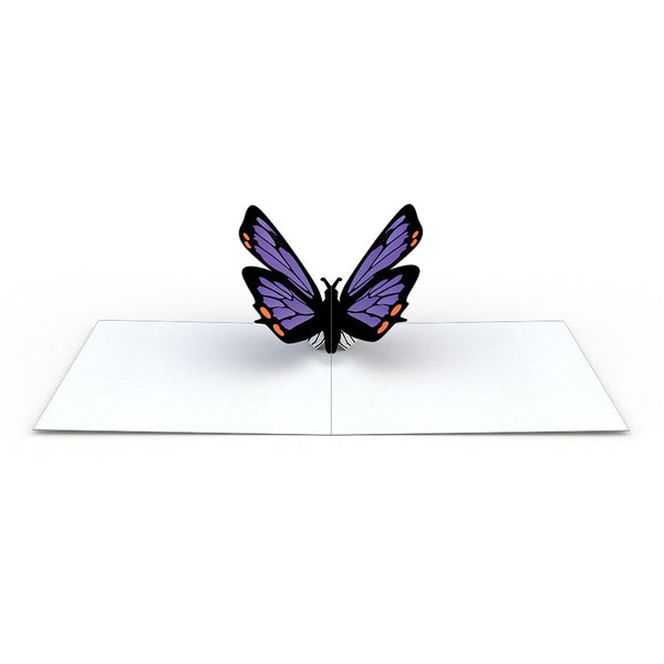 I Love Pop Butterfly Notecards (Assorted 4-Pack)