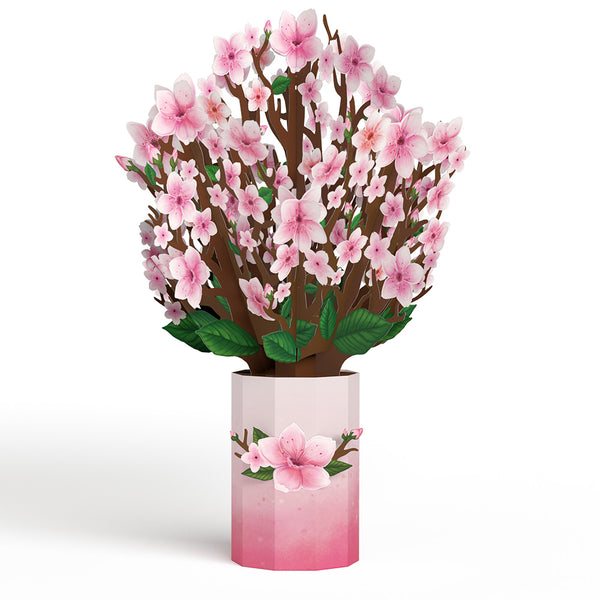 I Love Pop Cherry Blossom Bouquet