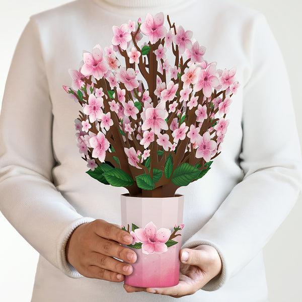 i love pop Cherry Blossom Bouquet