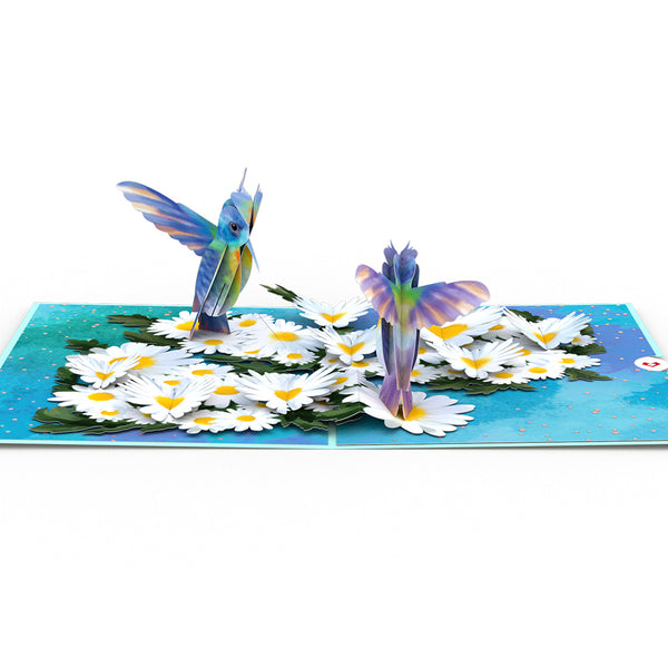I Love Pop Daisy Patch Hummingbirds Pop-Up Card