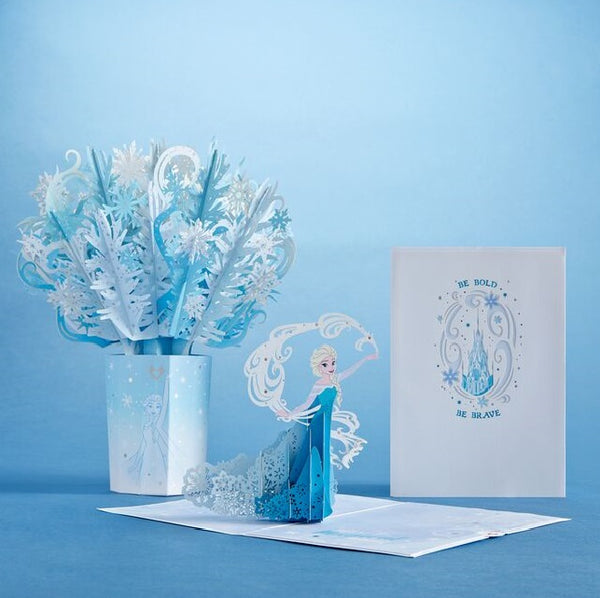 i love pop Disney Frozen Birthday Bundle