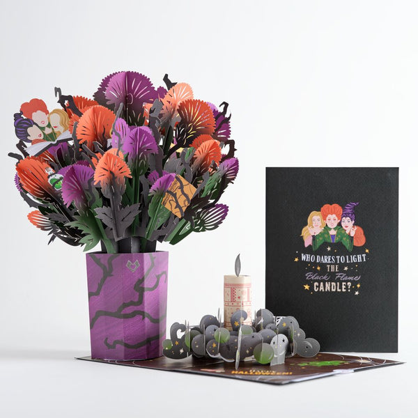 i love pop Disney Hocus Pocus Halloween Bundle