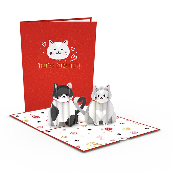 I Love Pop Dynamic Duos Love 3-Pack