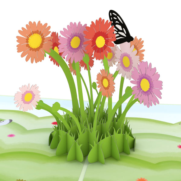 I Love Pop Easter Daisy Patch Pop-Up Card