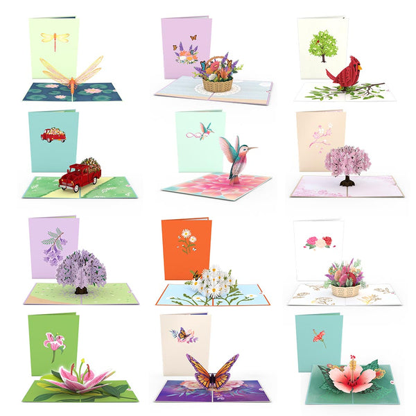 i love pop Garden 12-Pack Classic