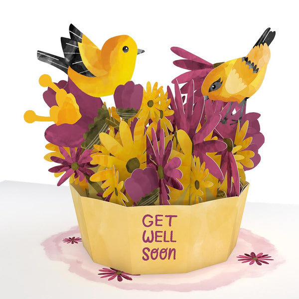 I Love Pop Get Well Soon Bird Paperpop® Card