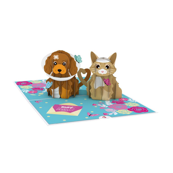 I Love Pop Get Well Soon Pets Pop-Up Card