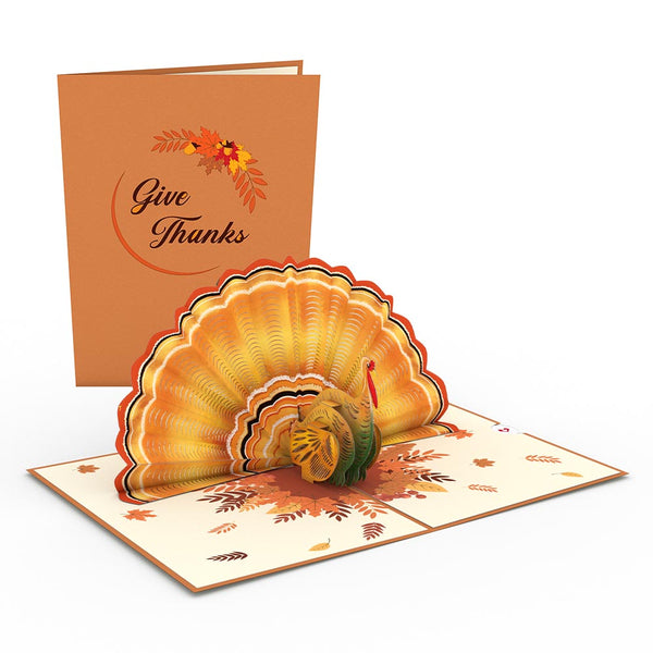 I Love Pop Give Thanks Fall 5-Pack