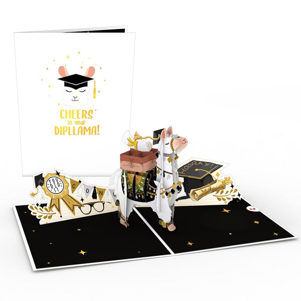 I Love Pop Graduation Bundle