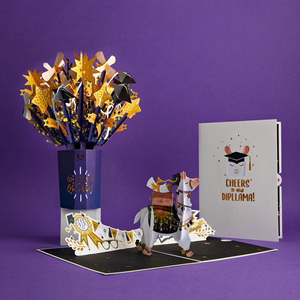 i love pop Graduation Bundle